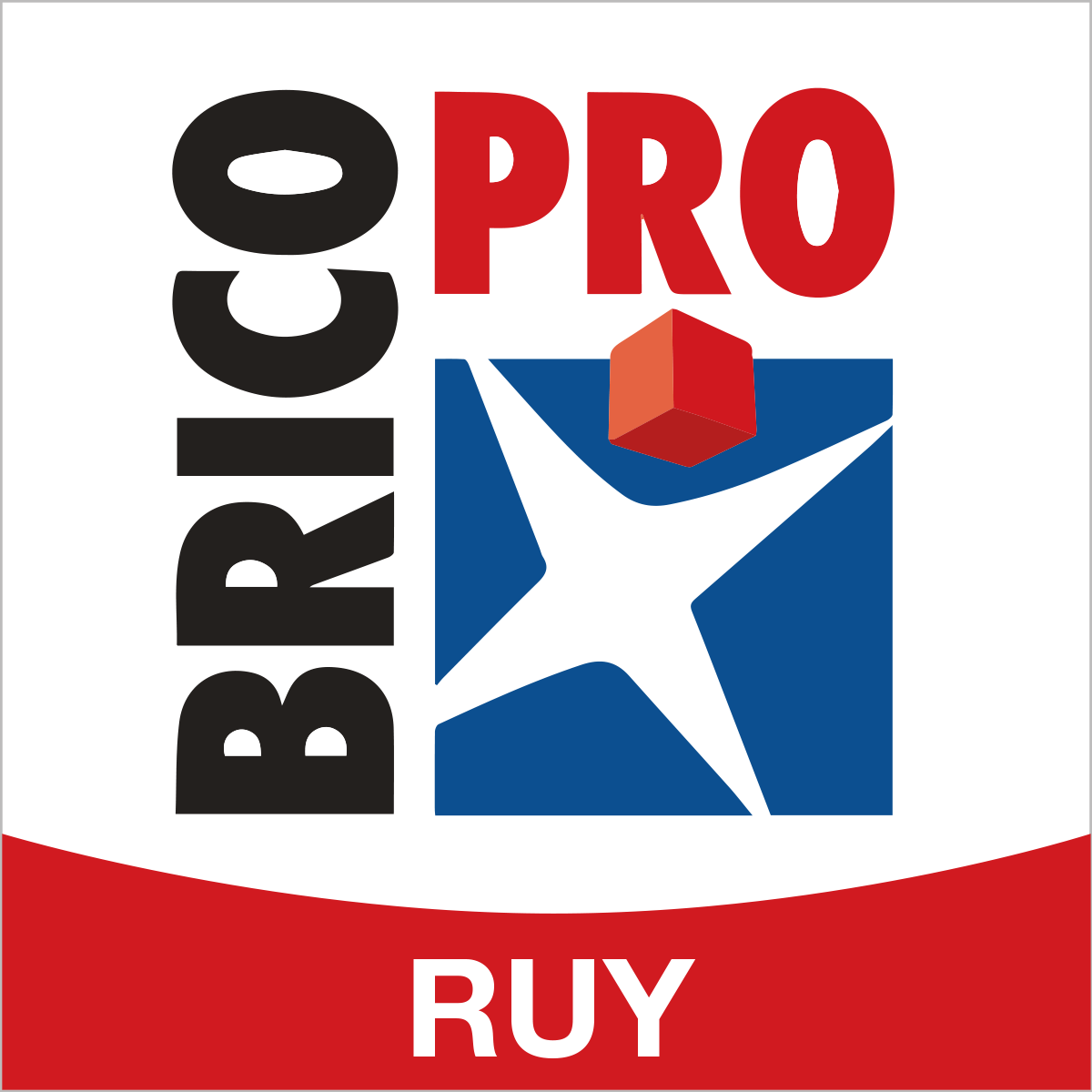 Brico Pro Ruy