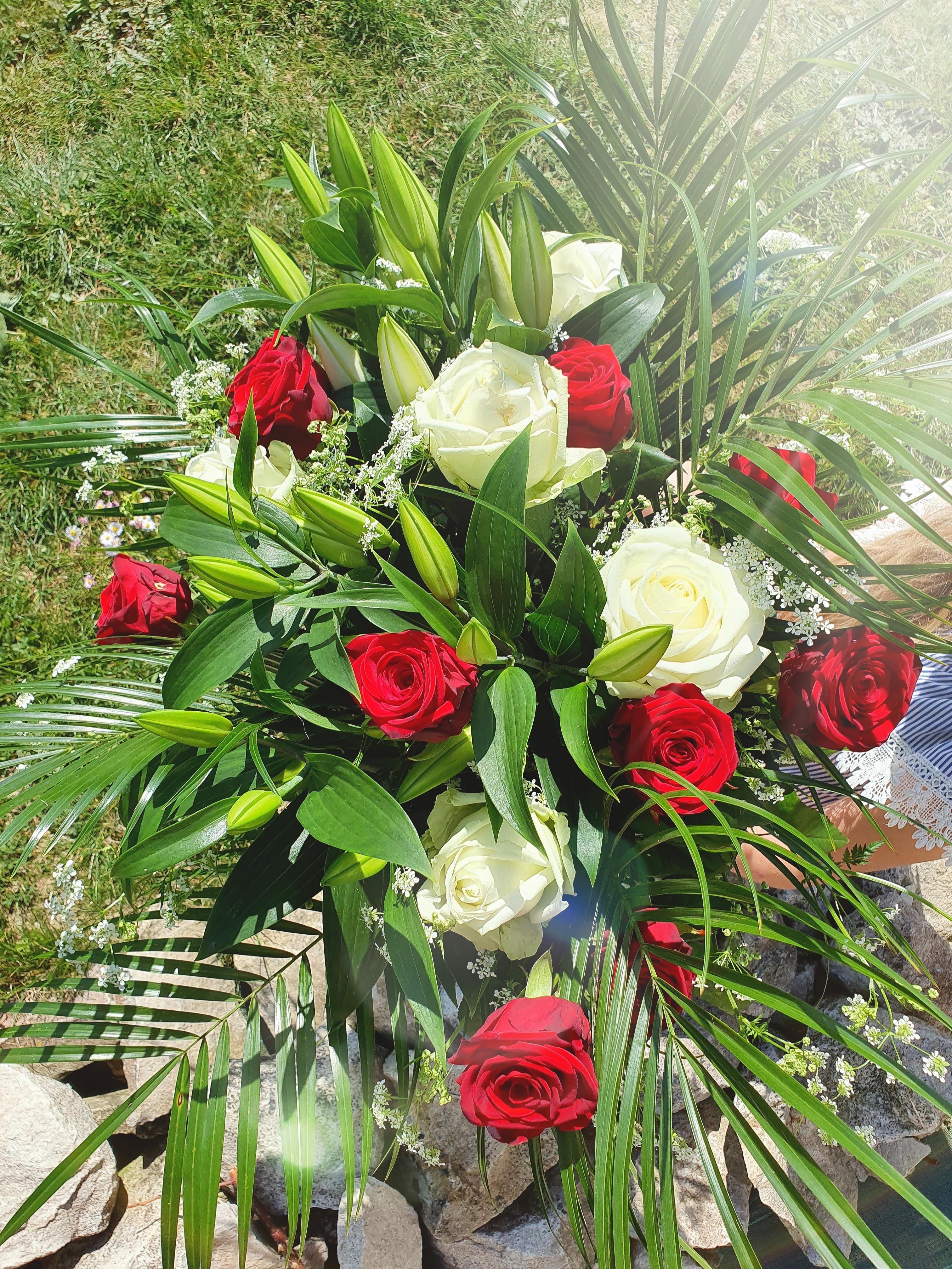 Au Jardin d'Alice