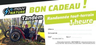 randonnée tout terrain 1H en buggy électrique biplace