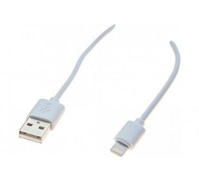 Cordon Lightning / USB certifié MFi (1 mètre)