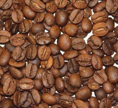 Café de Papouasie