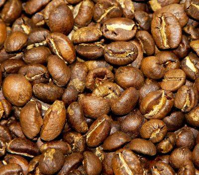 Café décaféiné Honduras