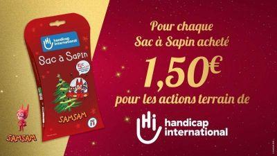 Sacs à Sapin
