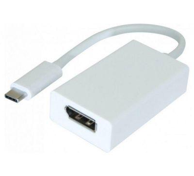 Adaptateur USB 3.1 Type-C vers DisplayPort 1.2