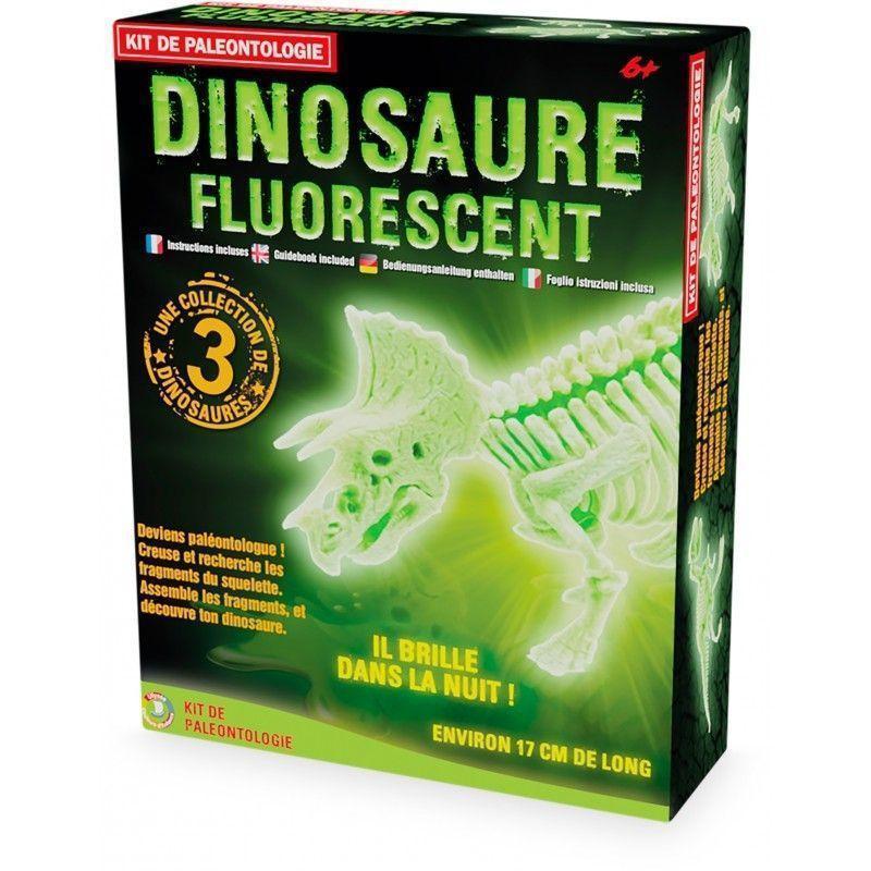 Activité Kit de paléo dinosaure fluo