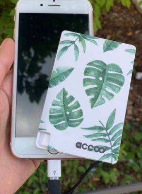 Batterie externe Accoo Tropicool